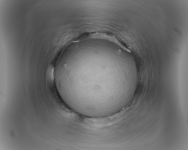 X0000111900041200908101149