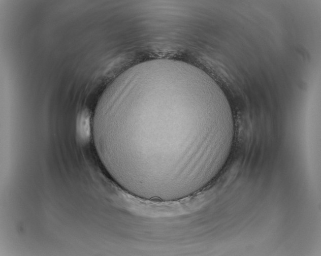 X0000111900042200908101149