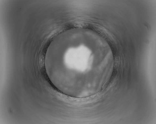 X0000111900043200908101149