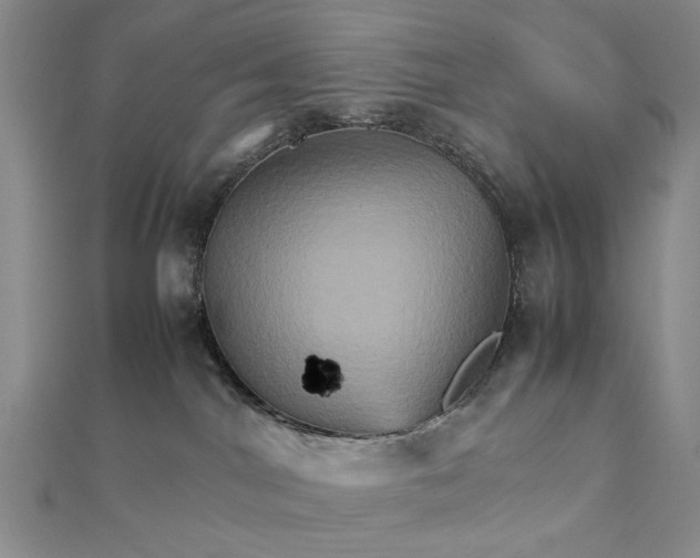 X0000111900044200908101149