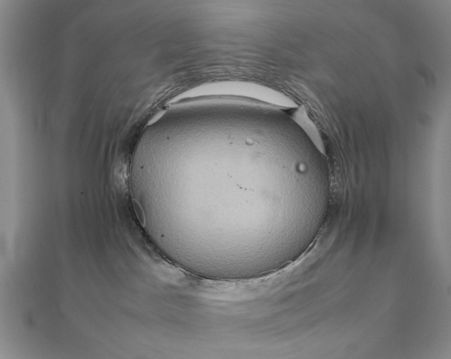 X0000111900045200908101149