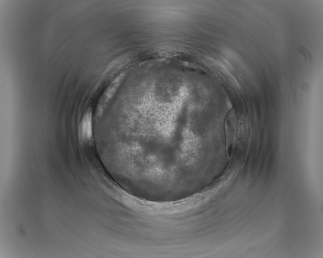 X0000111900046200908101149