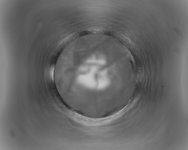 X0000111900047200908101149