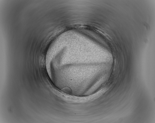 X0000111900048200908101149