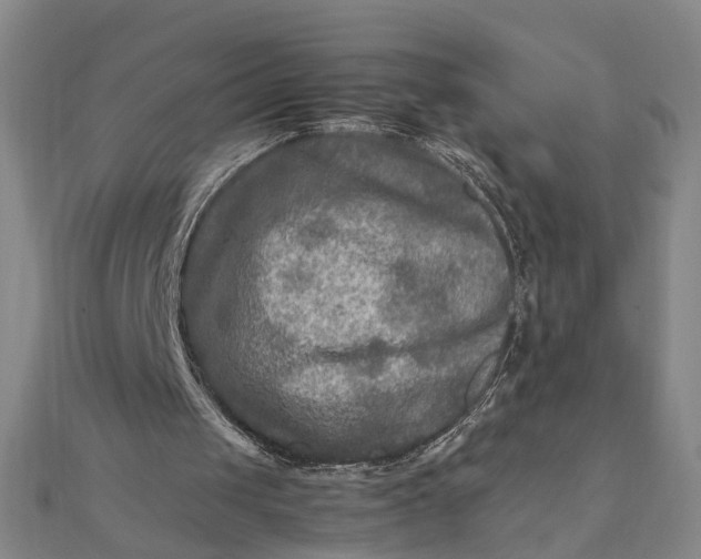 X0000111900049200908101148