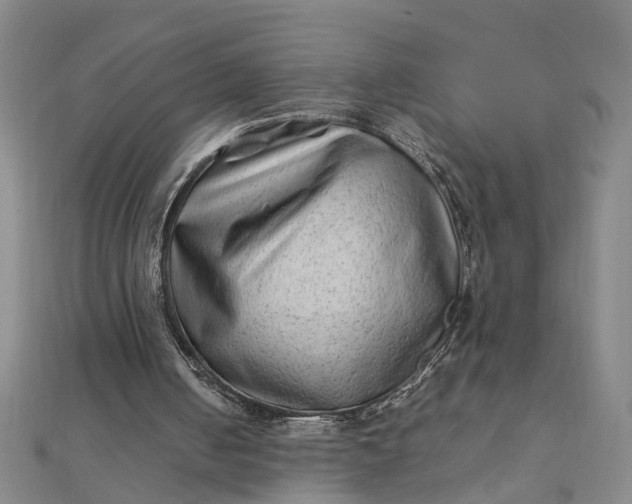 X0000111900050200908101148