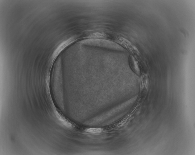 X0000111900051200908101148