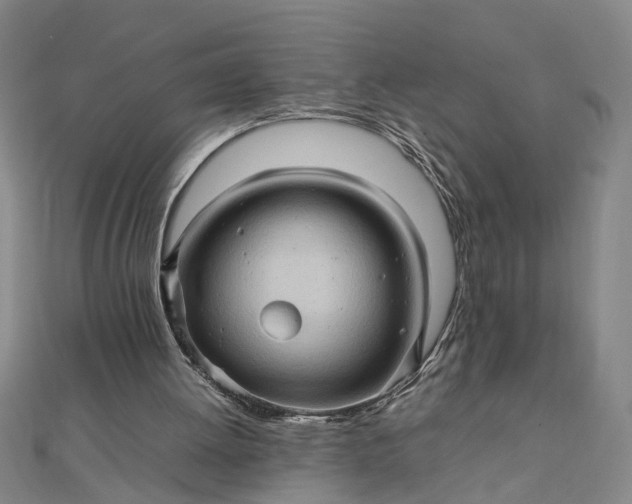 X0000111900052200908101148