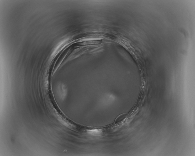 X0000111900053200908101148