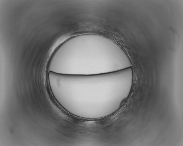 X0000111900054200908101148