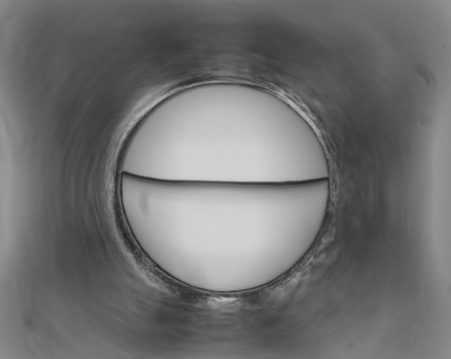 X0000111900055200908101148