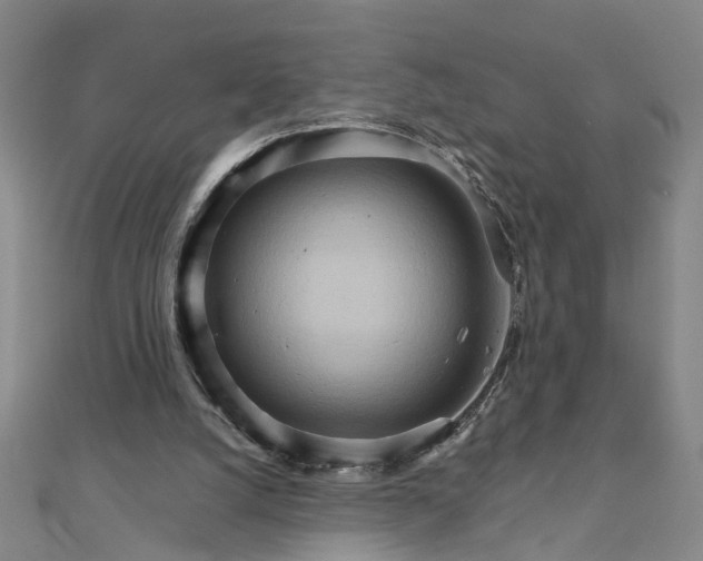 X0000111900056200908101148