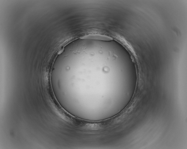 X0000111900057200908101148