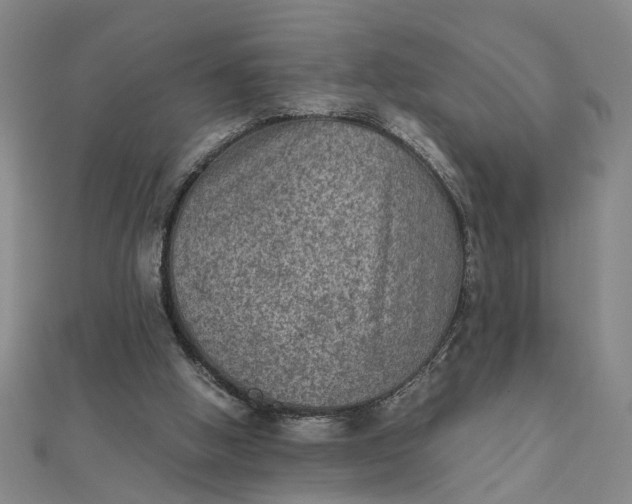 X0000111900058200908101148