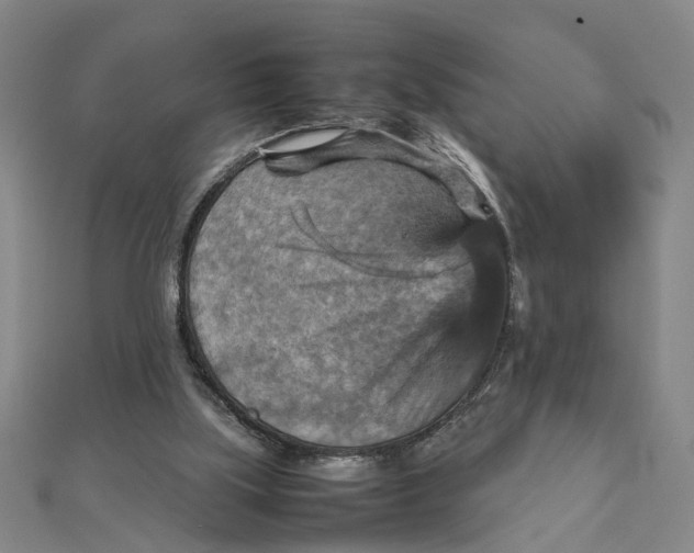 X0000111900059200908101148