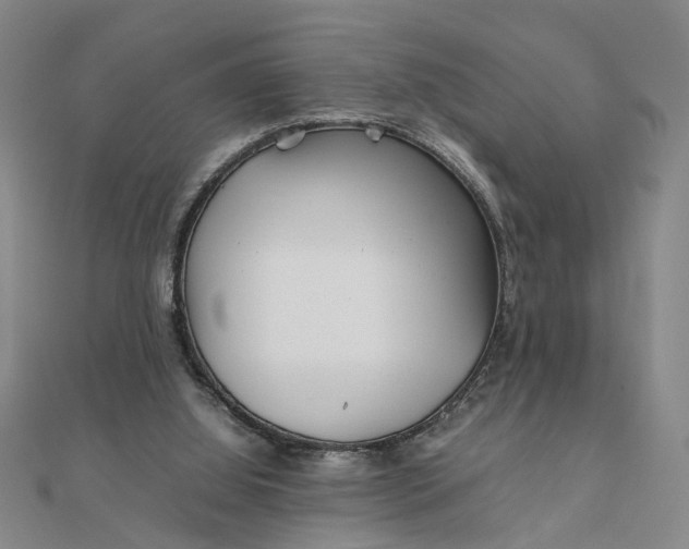 X0000111900060200908101148