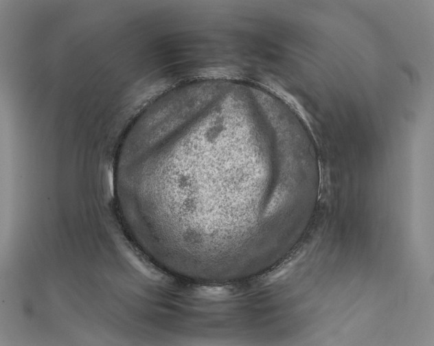 X0000111900061200908101148