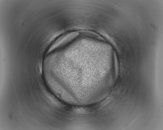 X0000111900062200908101148