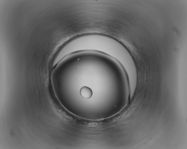 X0000111900064200908101148