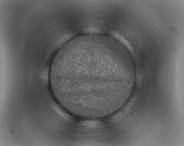 X0000111900065200908101148