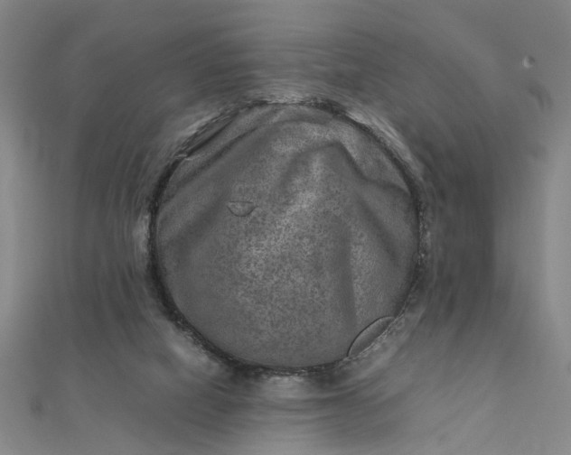 X0000111900066200908101148