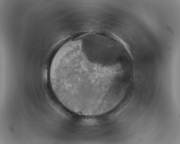 X0000111900067200908101148