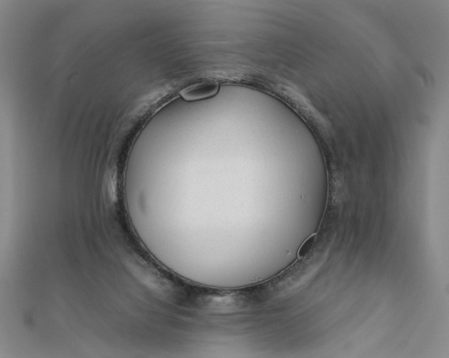 X0000111900068200908101148