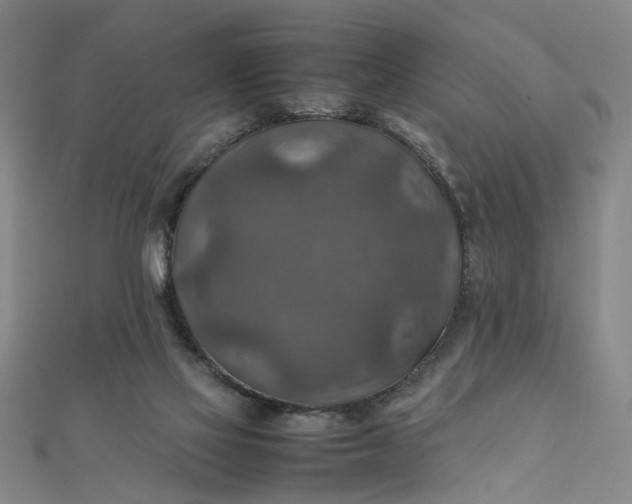 X0000111900069200908101148