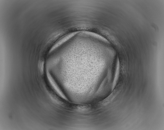 X0000111900070200908101148