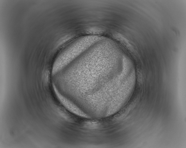 X0000111900071200908101148