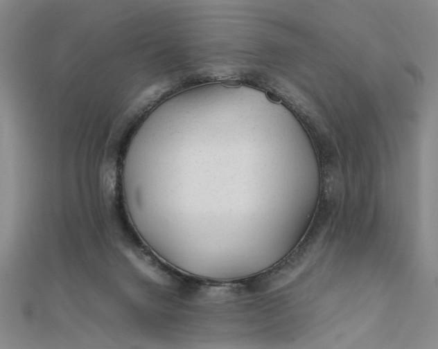 X0000111900072200908101148