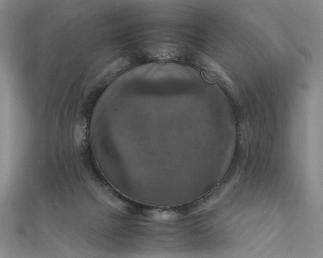 X0000111900073200908101148