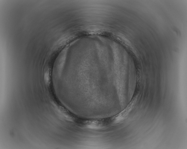 X0000111900074200908101148