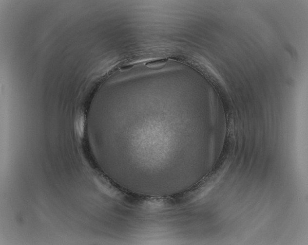 X0000111900076200908101148