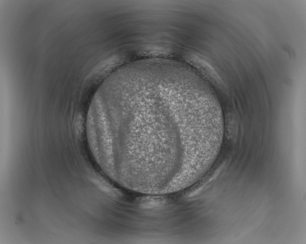 X0000111900077200908101148