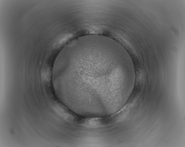 X0000111900078200908101148