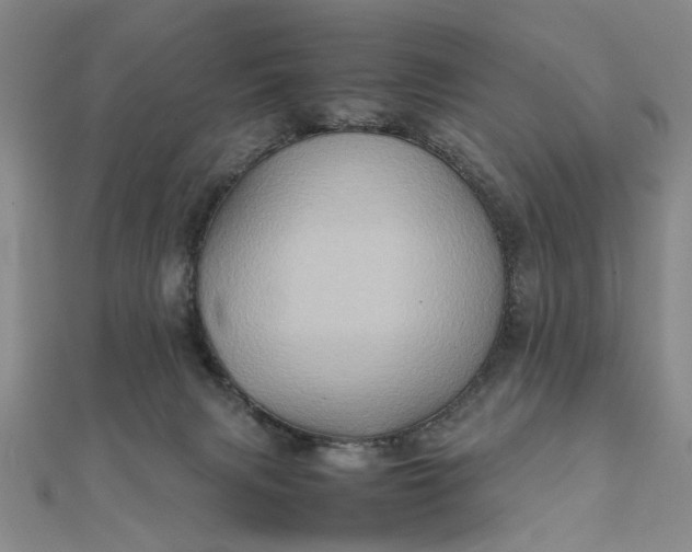 X0000111900079200908101148