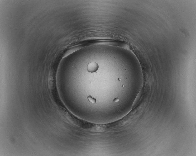 X0000111900080200908101148