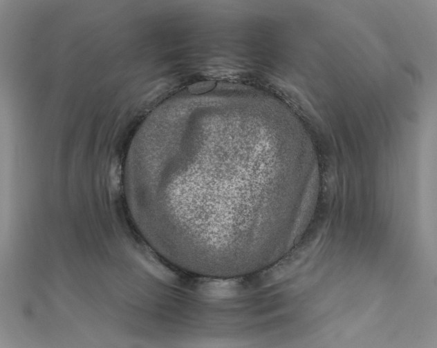 X0000111900081200908101149