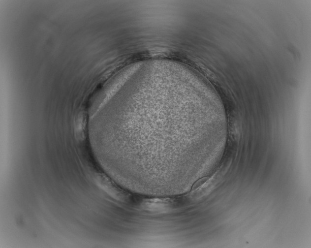 X0000111900082200908101149