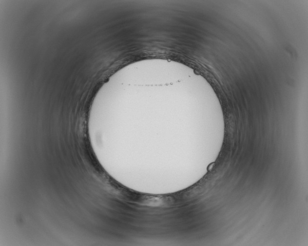 X0000111900083200908101149