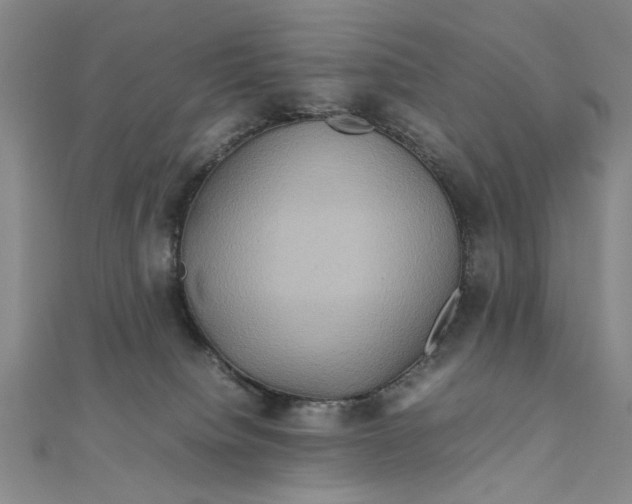 X0000111900084200908101149