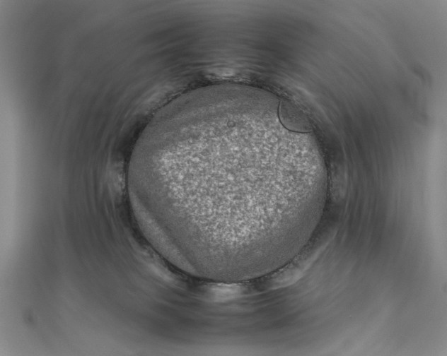 X0000111900085200908101149