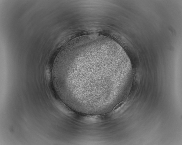 X0000111900086200908101149