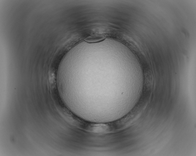 X0000111900087200908101149