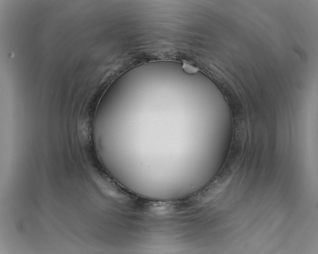 X0000111900088200908101149