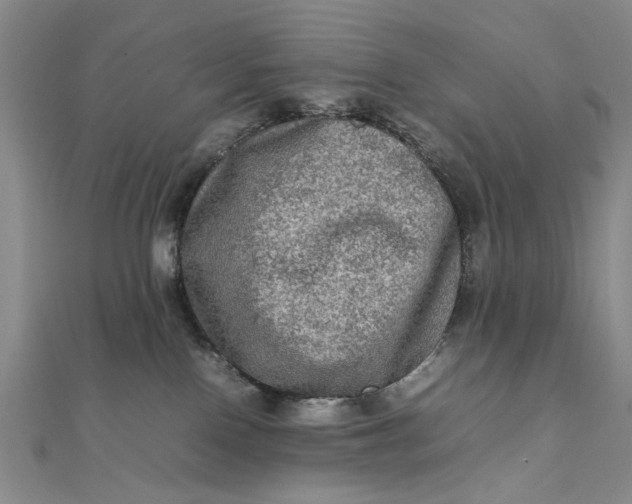 X0000111900090200908101149