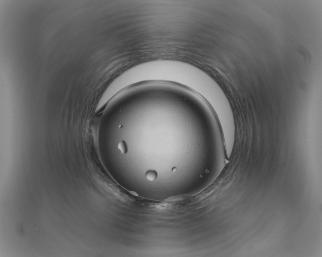 X0000111900092200908101149