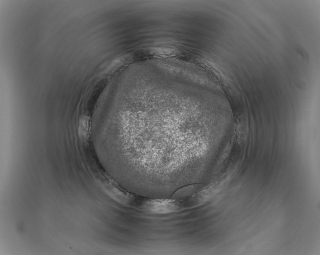 X0000111900093200908101149