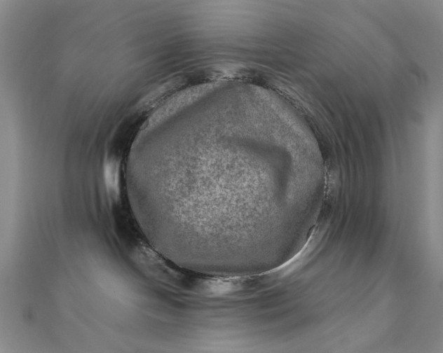 X0000111900094200908101149